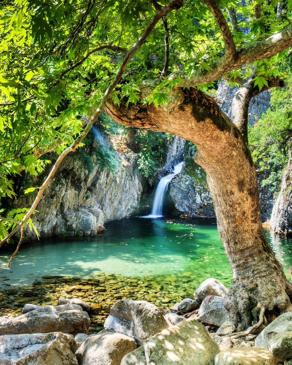 GreekPictures's tweet photo. #Samothrace isn't just ancient ruins and myths. It's wild nature at its finest. 🌿
Hike to the majestic #Fonias waterfalls, swim in icy #vathres, and explore hidden gems like #Gria #Vathra & Karya. Untamed, raw, and unforgettable. 🇬🇷
📷 @VisitGreecegr
#Samothrace #Waterfalls https://t.co/vjxWbq9t0E