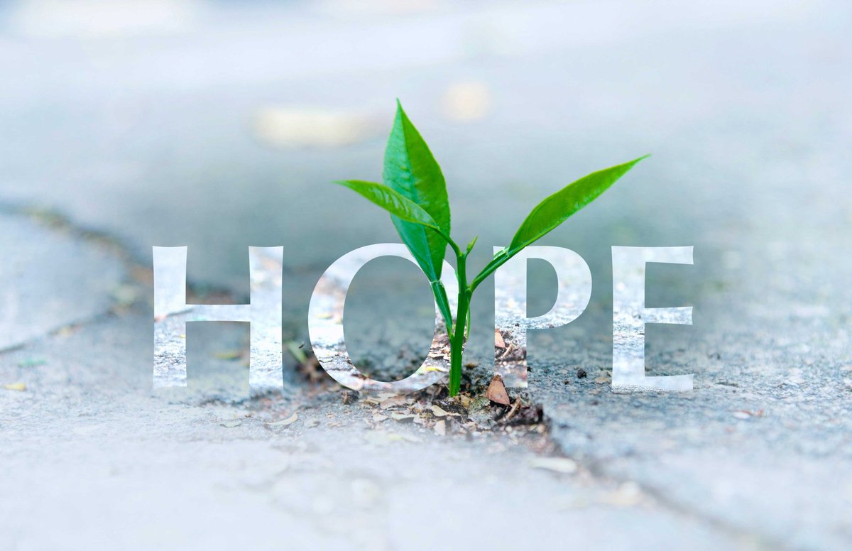olumideabi1's tweet photo. The "HOPE" is still there !!!
Don't let anyone kill your rising seeds🌱
......gm to your memory anywhere you see This ✍️
@GiveRep @3DOSNetwork
$ADYO #akitanh https://t.co/IdyUTttYkO