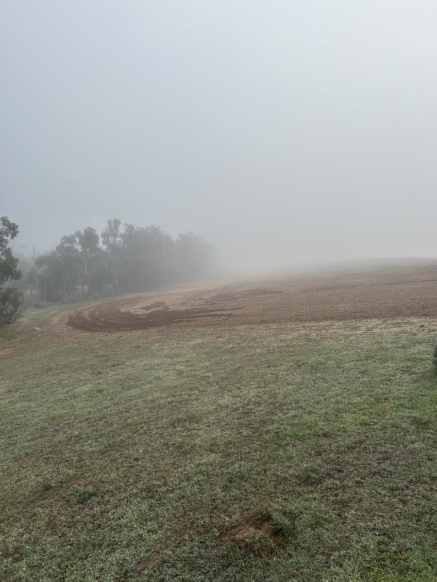 Dirtwork (@dirtwork69) on Twitter photo A bounty on #feralpigs would be greatly appreciated, it would pay for some bullets at least. #mobilepigtrap <a href="/BenFordhamLive/">Ben Fordham Live</a> <a href="/helendalton22/">Helen Dalton MP</a> A bounty on #feralpigs would be greatly appreciated, it would pay for some bullets at least. #mobilepigtrap <a href="/BenFordhamLive/">Ben Fordham Live</a> <a href="/helendalton22/">Helen Dalton MP</a>
