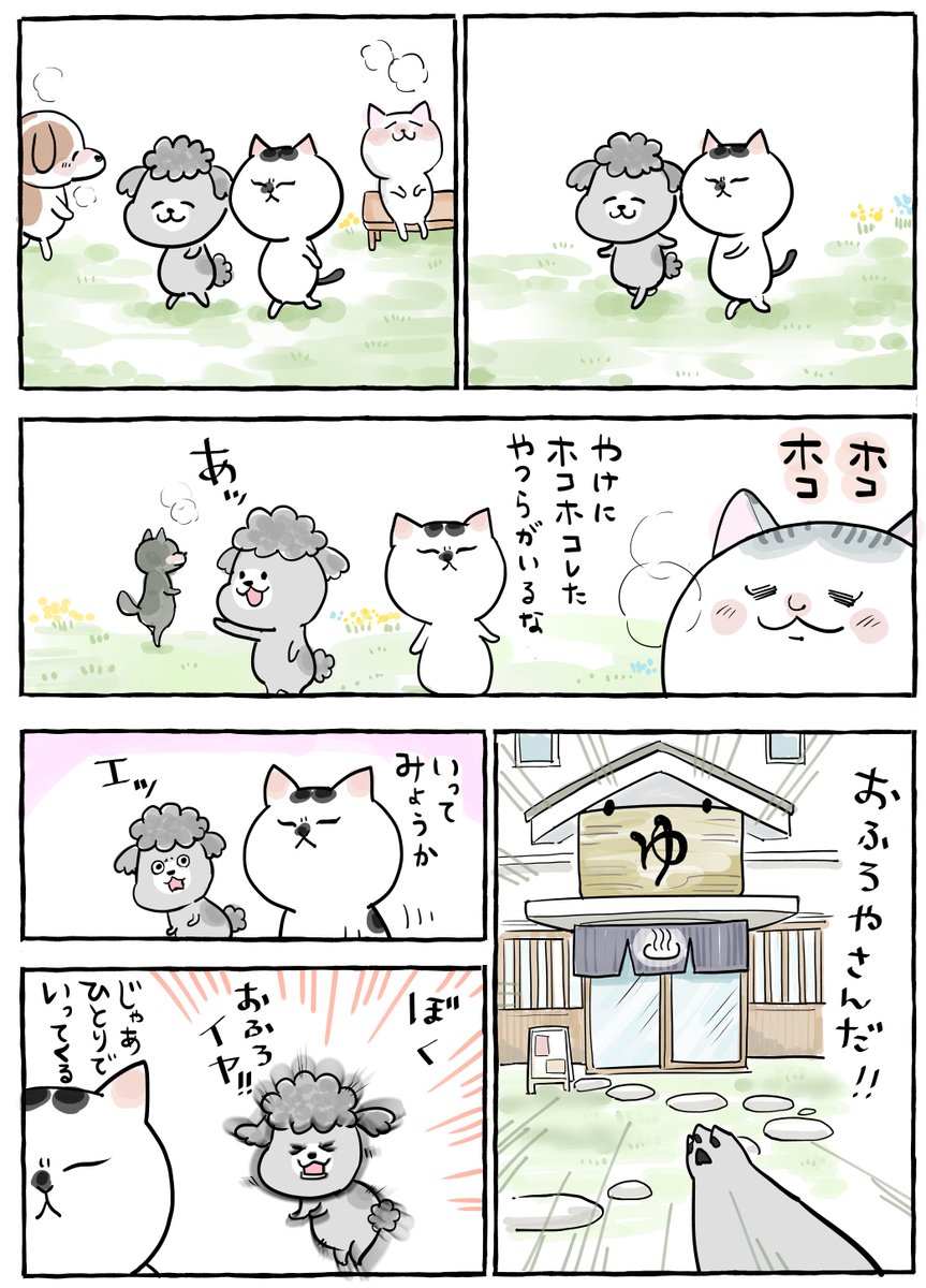 Post by 松本ひで吉 on X: 2/7