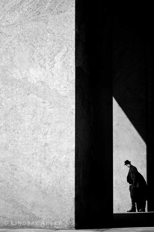 "Por lo general, las personas no muestran lo terribles que son... Basta que se dé la ocasión para que muestren su horrenda naturaleza".
"Indigno de ser humano", Osamu Dazai
📷Lindsay Adler