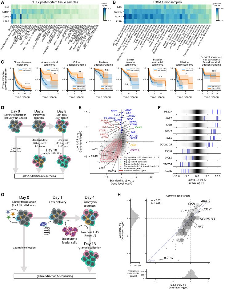 Enhancing anti-tumor immunity of NK cells through targeting IL-15R signaling <a href="/Dr_Nick_Bikes/">Nicholas Huntington</a> <a href="/DrIvaNikolic/">Iva Nikolic</a> <a href="/oNKo_innate/">oNKo-innate</a> 
cell.com/cancer-cell/fu…