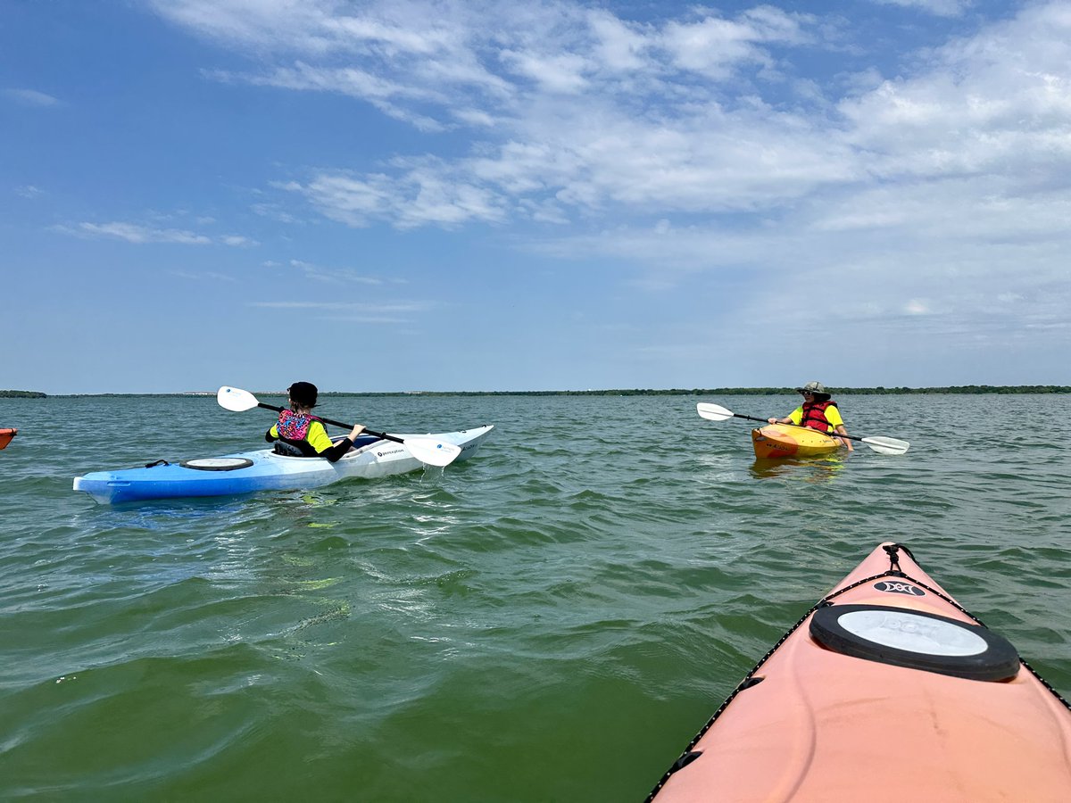 Irving PAL tweet media