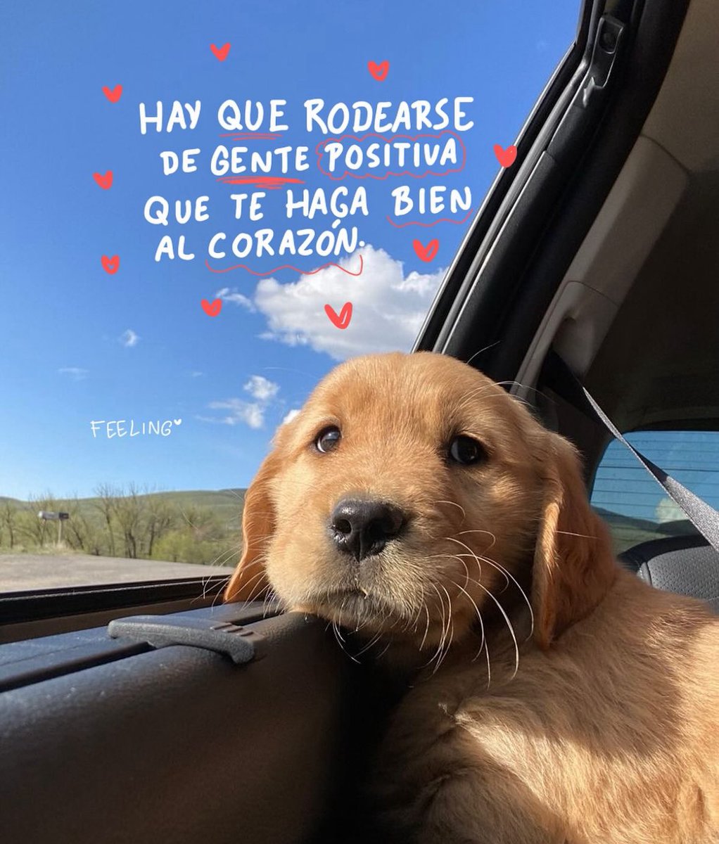 Hay que rodearse de gente que te haga bien al corazón ♥️