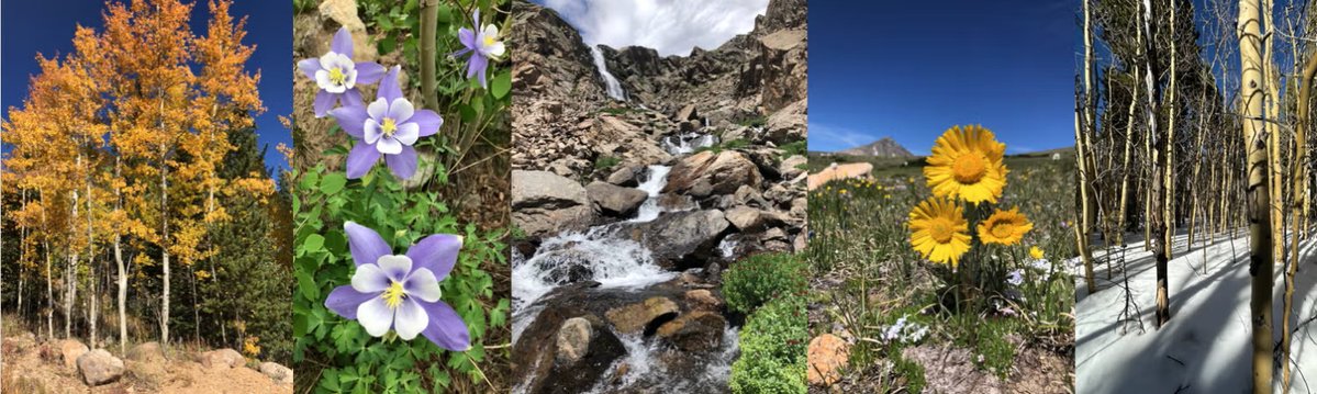 INSTAAR ๐ณ๏ธโ๐ (@instaar) on Twitter photo ๐๏ธThe Mountain Research Station <a href="/CUBoulder/">CU Boulder ๐ฆฌ</a> hosts the Guild of Rocky Mountain Ecologists & Evolutionary Biologists (GREEBs) on Sept 26-28
โข Low-stress & inclusive mtg
โข Talks do NOT need to be about Rocky Mtns
โข Accommodation & meal options
See more at colorado.edu/conference/greโฆ ๐๏ธThe Mountain Research Station <a href="/CUBoulder/">CU Boulder ๐ฆฌ</a> hosts the Guild of Rocky Mountain Ecologists & Evolutionary Biologists (GREEBs) on Sept 26-28
โข Low-stress & inclusive mtg
โข Talks do NOT need to be about Rocky Mtns
โข Accommodation & meal options
See more at colorado.edu/conference/greโฆ
