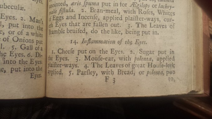 Parsley, leek, bread, polenta and cheese...another 18thc recipe where the nice food gets applied on the skin and the patient has to eat dung