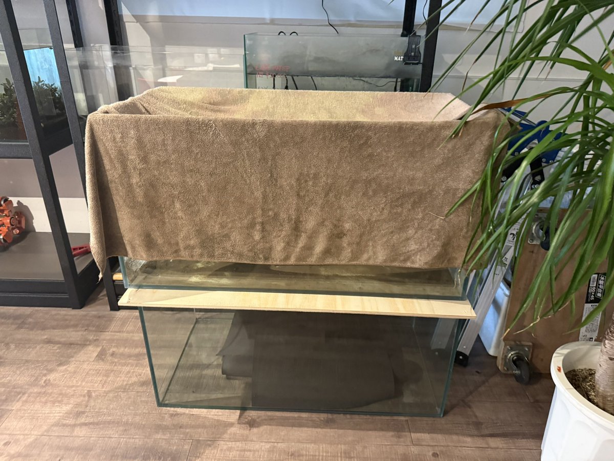 シュリンプアワードみなさんお疲れ様でした‼️
ただいま集計中です🙇

本日明日とオープンしてます😌

1200×450×450
¥10,000円が2本

900×450×450
¥5,000円が2本残ってます！
引き取り限定となりますのでよろしくお願いします🤲