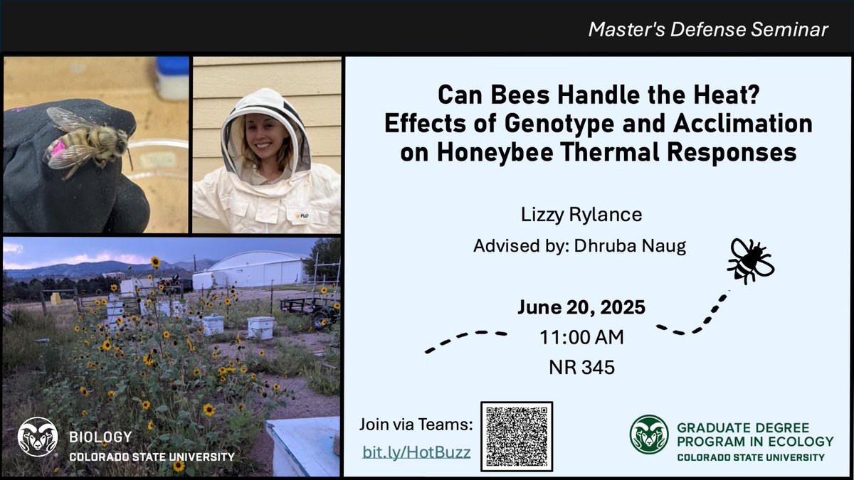 🐝 Can bees beat the heat?
Join Lizzy Rylance’s Master’s Defense on how genotype &amp; acclimation affect honeybee thermal responses! 🔬☀️
📅 June 20 | 🕚 11 AM
📍 NR345 | 💻 bit.ly/HotBuzz

#BeeResearch #CSUBiology #MastersDefense #EcologyBuzz #Honeybees
