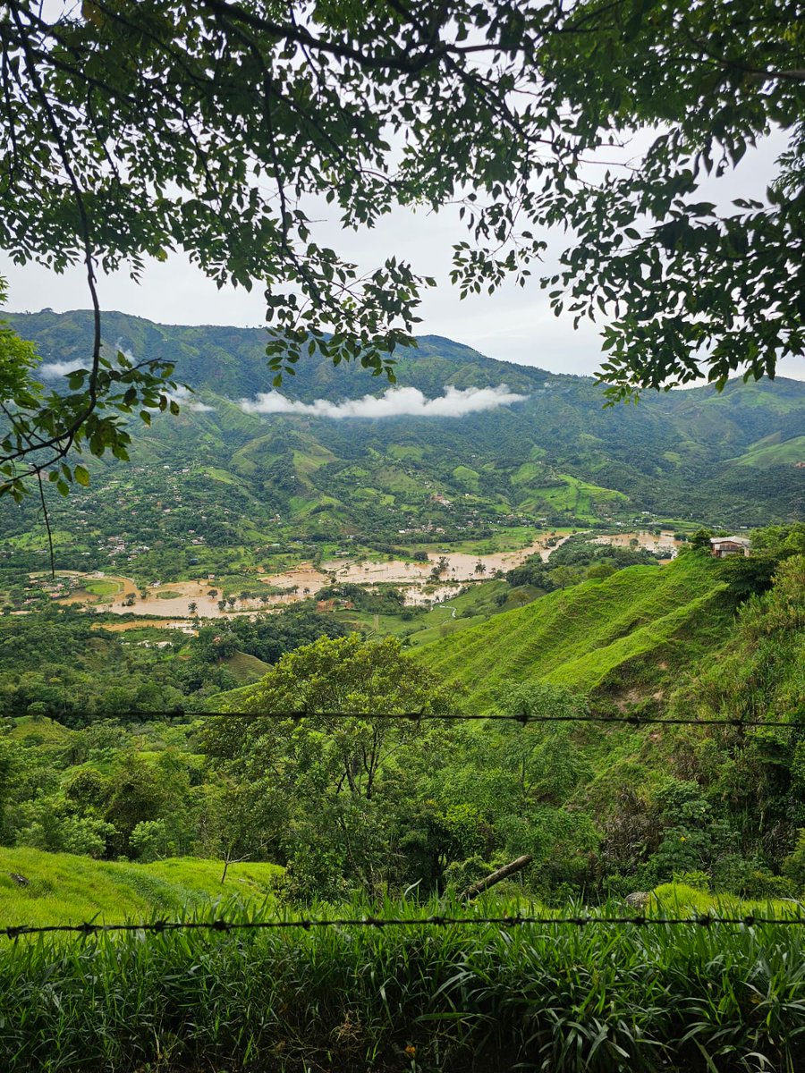 soydeituango's tweet photo. #Escriben hoy viernes Vereda La Frisolera dé Donmatias norte de Antioquia, Todo el día hemos estado inundados por el Riogrande él cuál sé desbordó https://t.co/hY1NDoPLbg