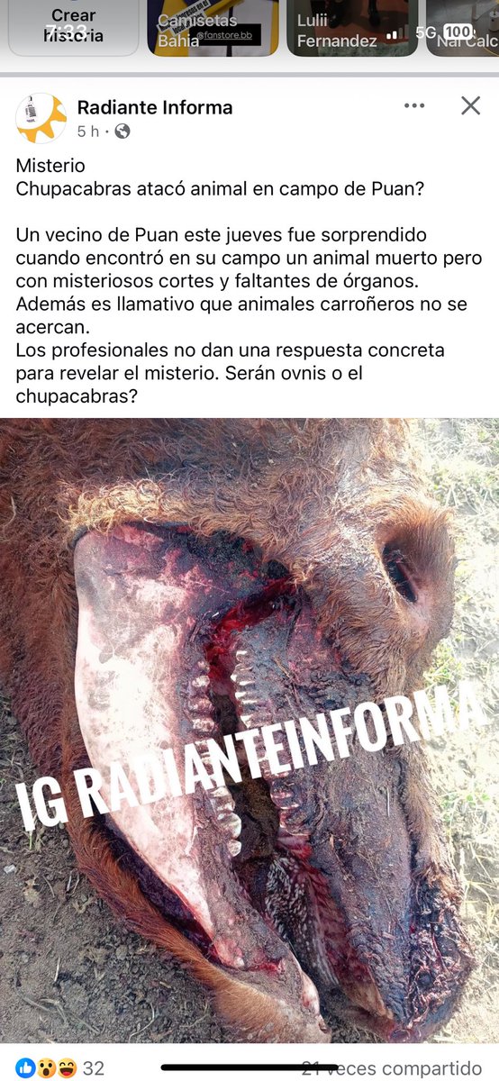 No puedo creer la vuelta del chupacabras. Más sorpresiva que la de Carlitos Tévez. Lo mejorcito del año.
Agarren sus discman y escuchen ciega, sorda, muda de Shakira. Los 2000 han vuelto