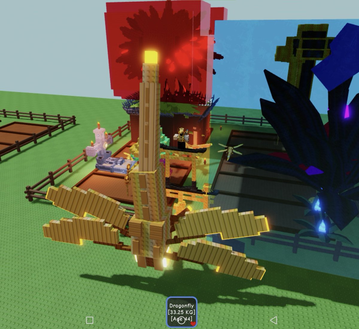 GoldenAvyeus's tweet image. I finally got my very first Huge Pet!! 😭💕

#GrowaGarden #roblox #robloxgrowagarden