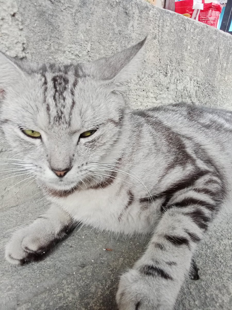 55555555