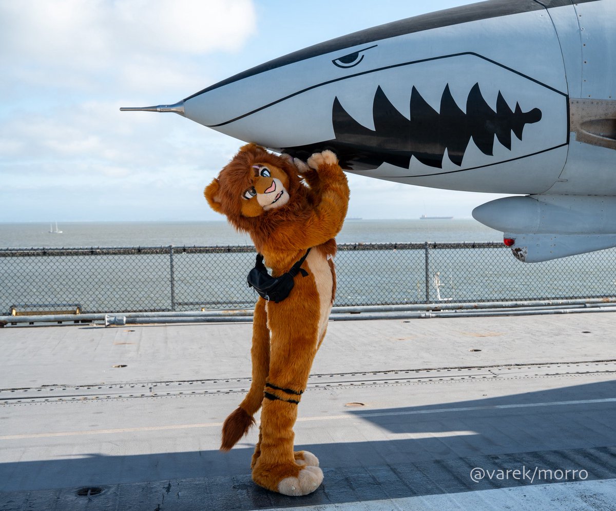SouKuugo's tweet image. Giving Mr. F-14 Tomcat a kiss😽
#FursuitFriday
📸: @/varekmorro.bsky.social