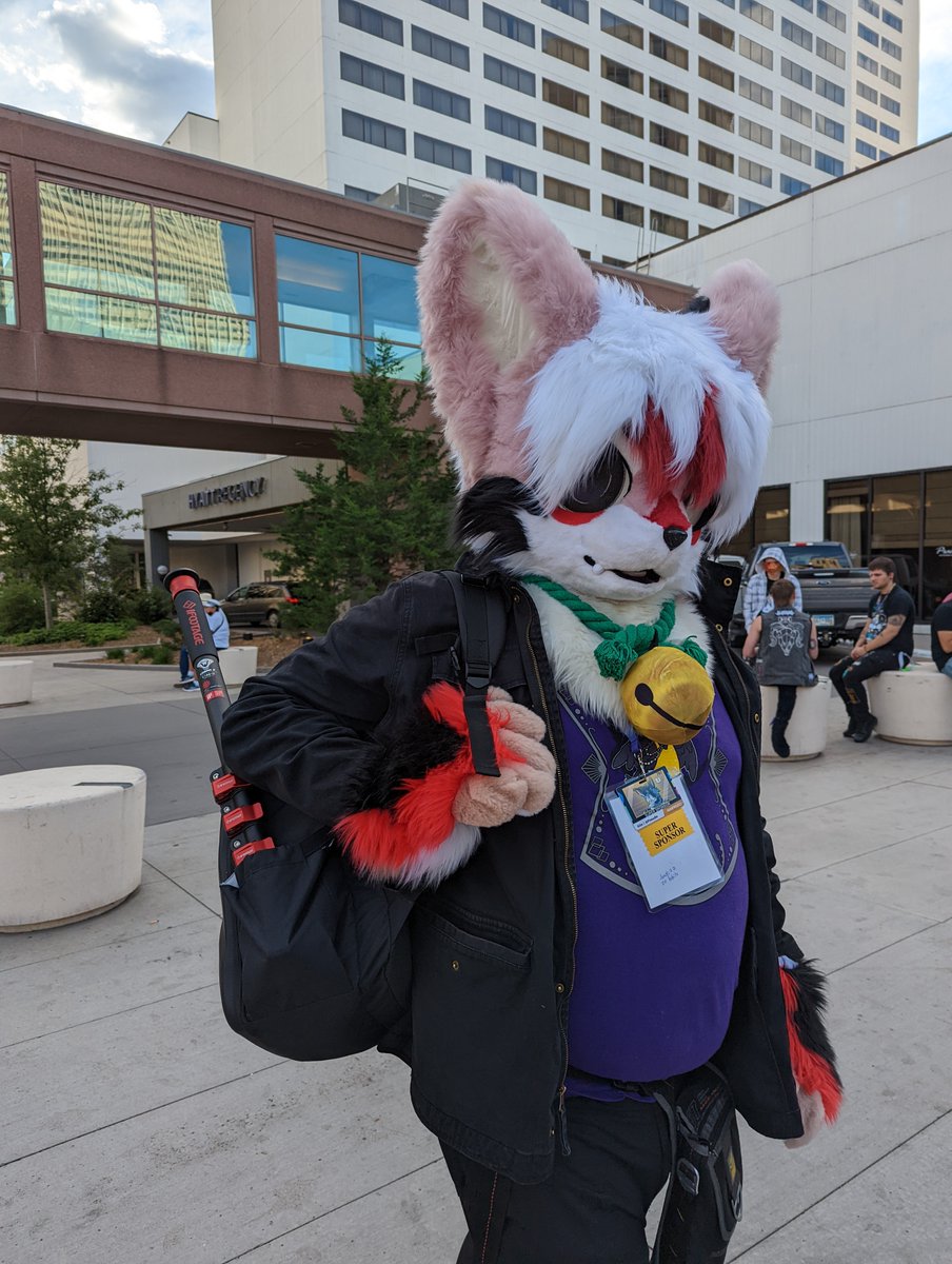 Throwback to Furry Migration!
#FursuitEveryday