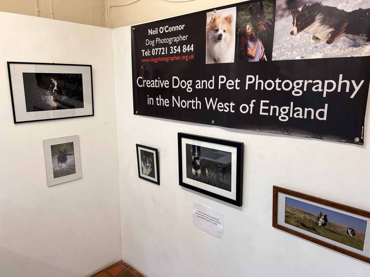 The latest exhibition, at Tegg’s Nose Gallery, is now open! The exhibition, from Neil O'Connor Dog Photographer is on show everyday from 9am to 4pm until the 2nd of July.