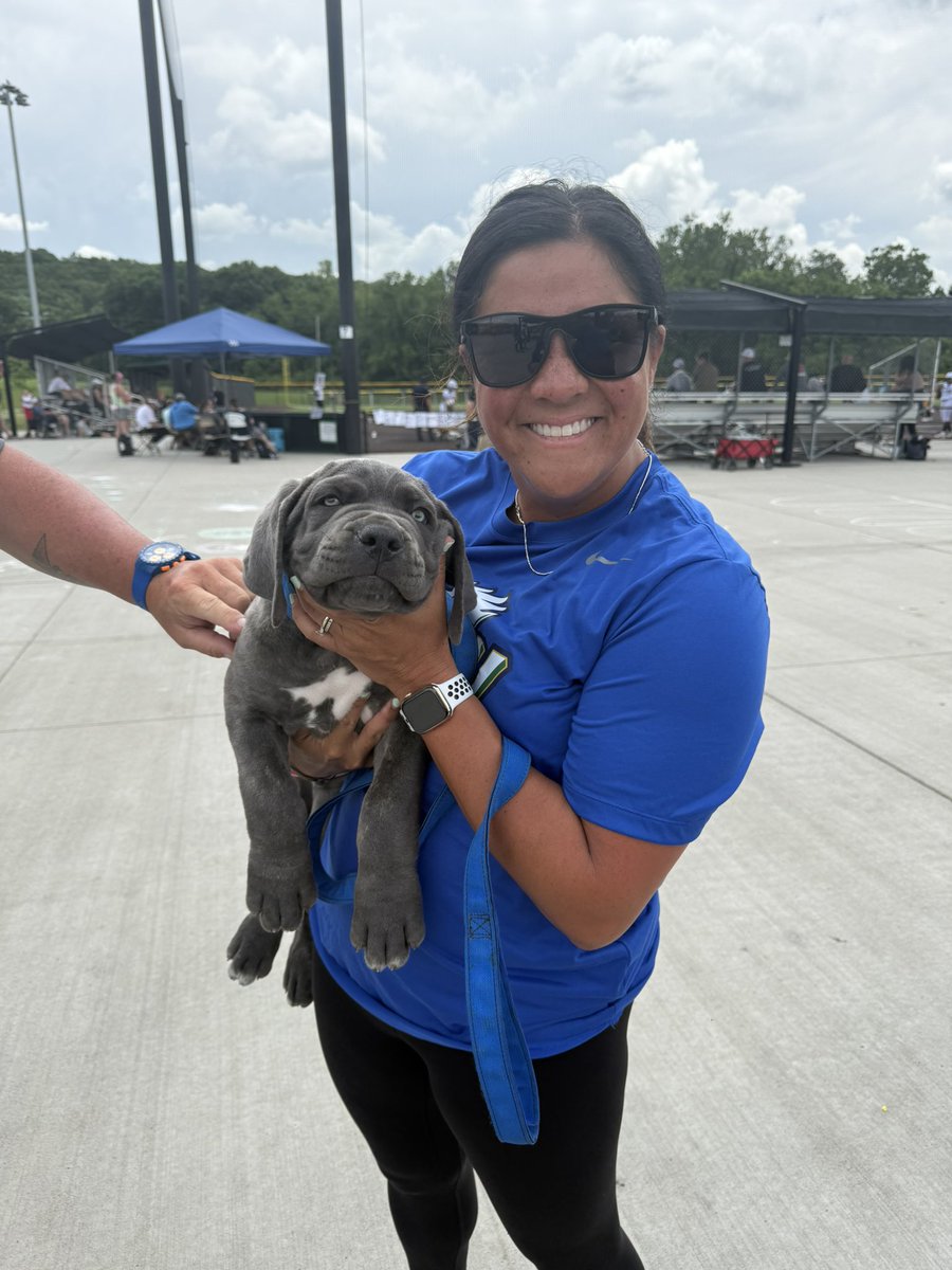 McLennan Softball (@mclennan_sb) on Twitter photo  McLennan Softball (@mclennan_sb) on Twitter photo