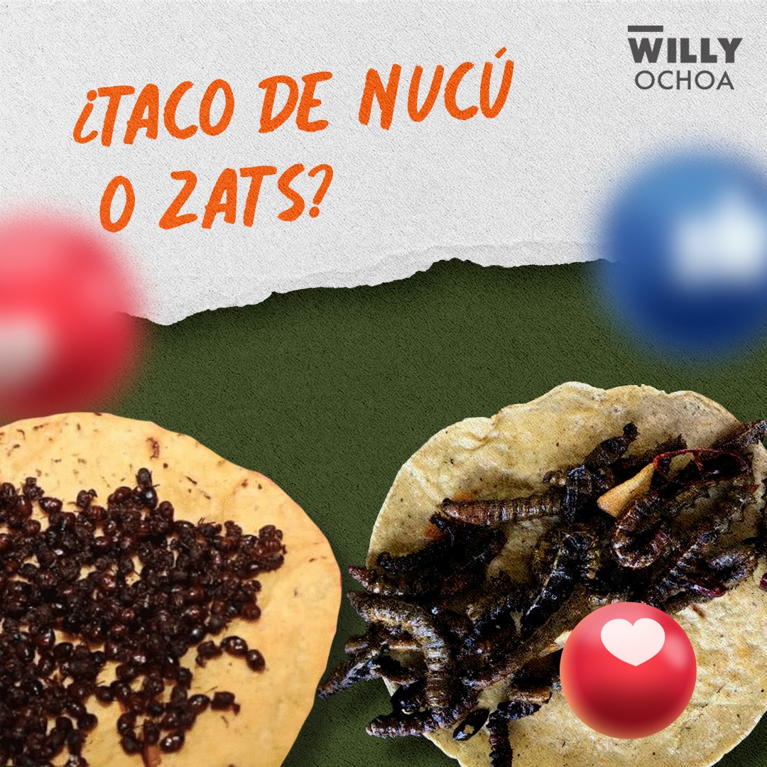 Cuéntenme, ¿ustedes cómo los prefieren? ¿Solitos con sal y limón, en salsita, o en tacos? 
¡Lo bueno de ser chiapaneco es tener estas delicias al alcance!