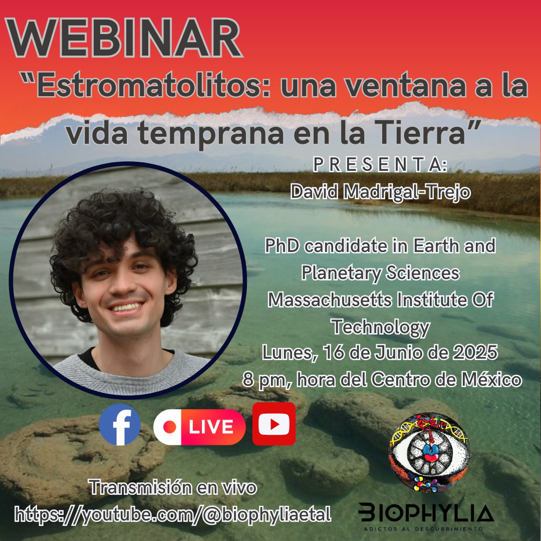Los estromatolitos representan una de las evidencias de #vida más antiguas en la Tierra 🌎. En esta charla, recapitularemos su registro #fósil y cómo este nos brinda información sobre la coevolución de la vida y el planeta a lo largo de más de 3,500 millones de años.