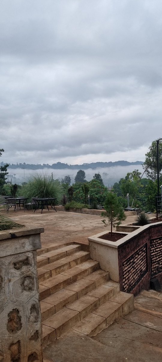 📍Bonga
Beautiful green Bonga 😍
Second picture is the birth place of coffee (captured from a highland) - Keffa