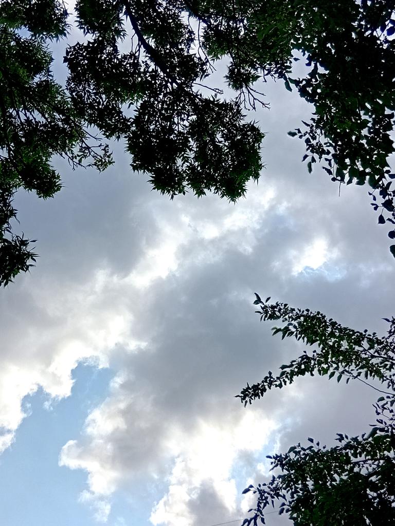 Катерина Галич tweet media