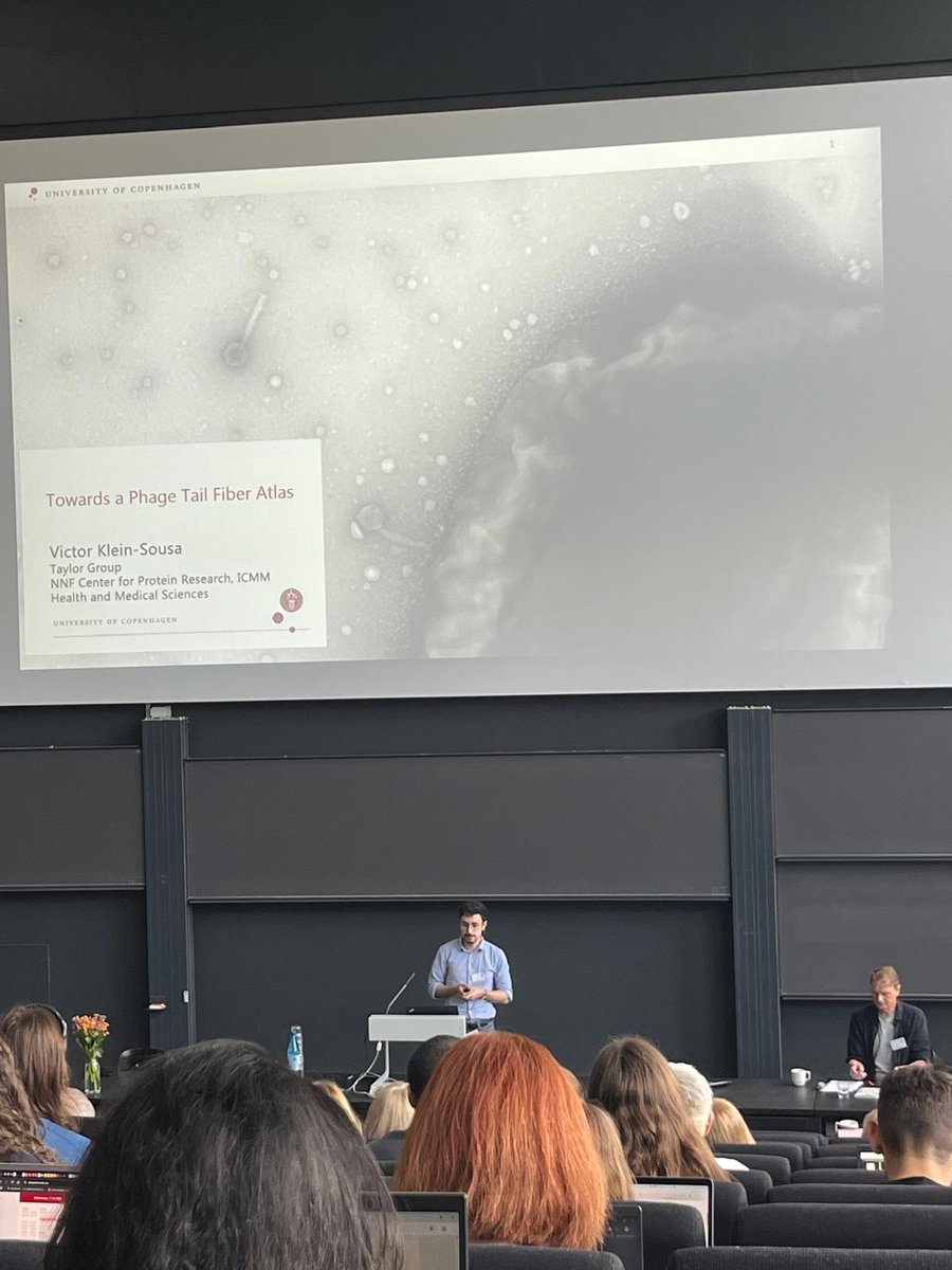 VKleinSousa's tweet image. Had a fantastic time at the first Danish Viruses of Microbes meeting! Great to see all the cutting-edge phage research in the Nordics. Honored to present RBPseg + the tail fiber structural atlas. Thanks for the great questions & feedback! #DKVoM25 #Phages