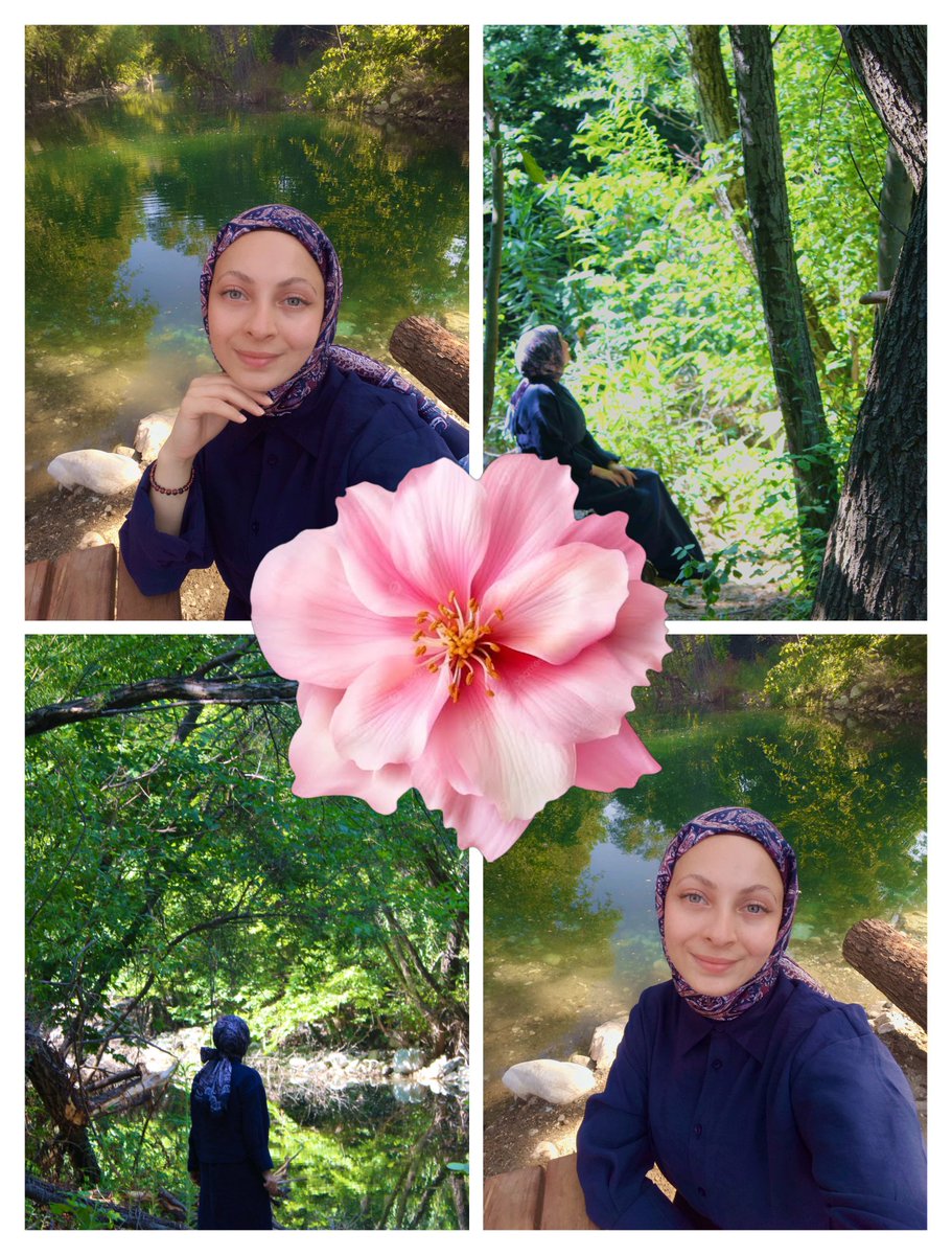 Dijle_gr's tweet photo. Çiçekler ve renkler 🌸🌼🎈💕🌺🍁 https://t.co/KyhVpXb2fx