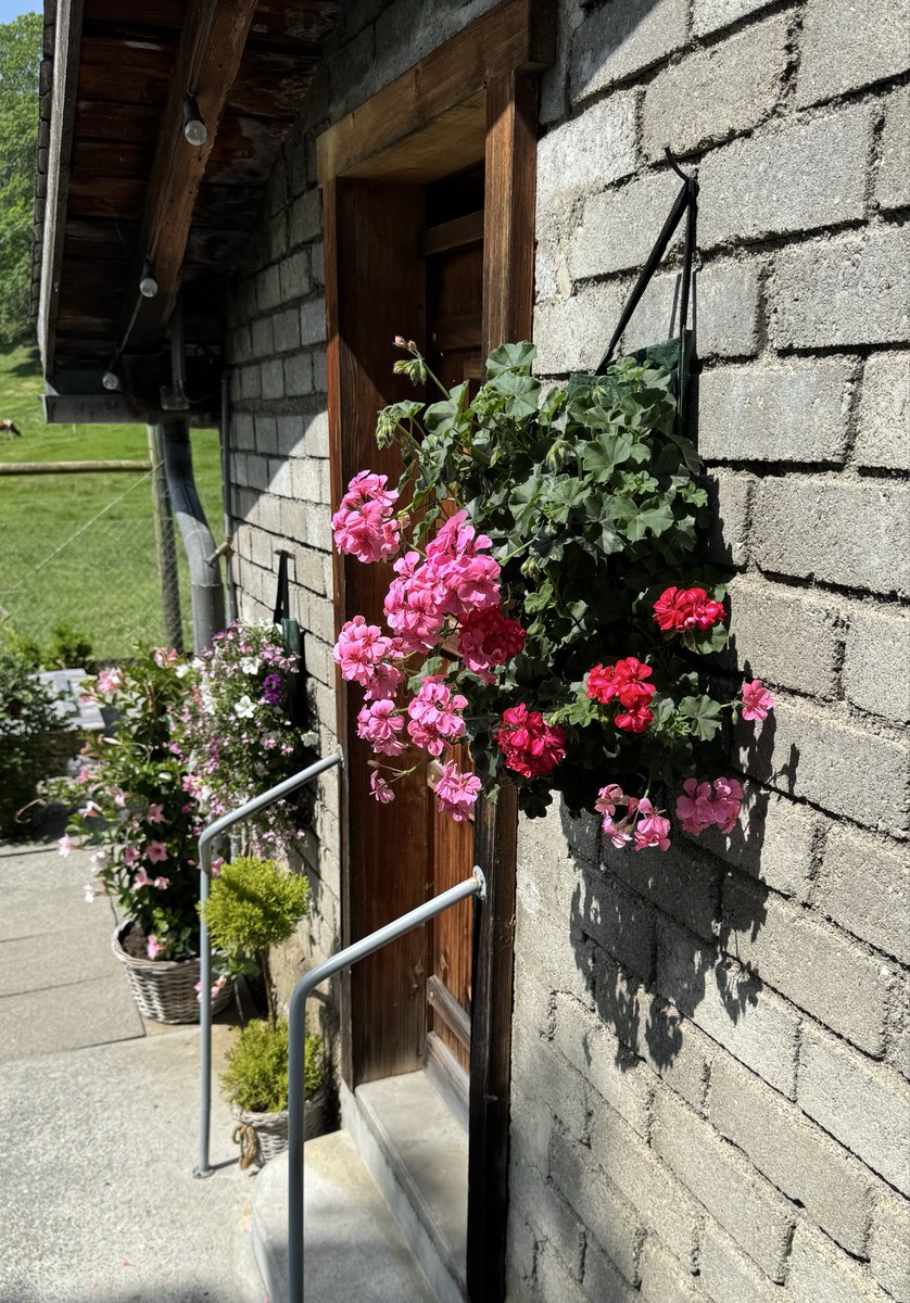 michèle berclaz tweet media