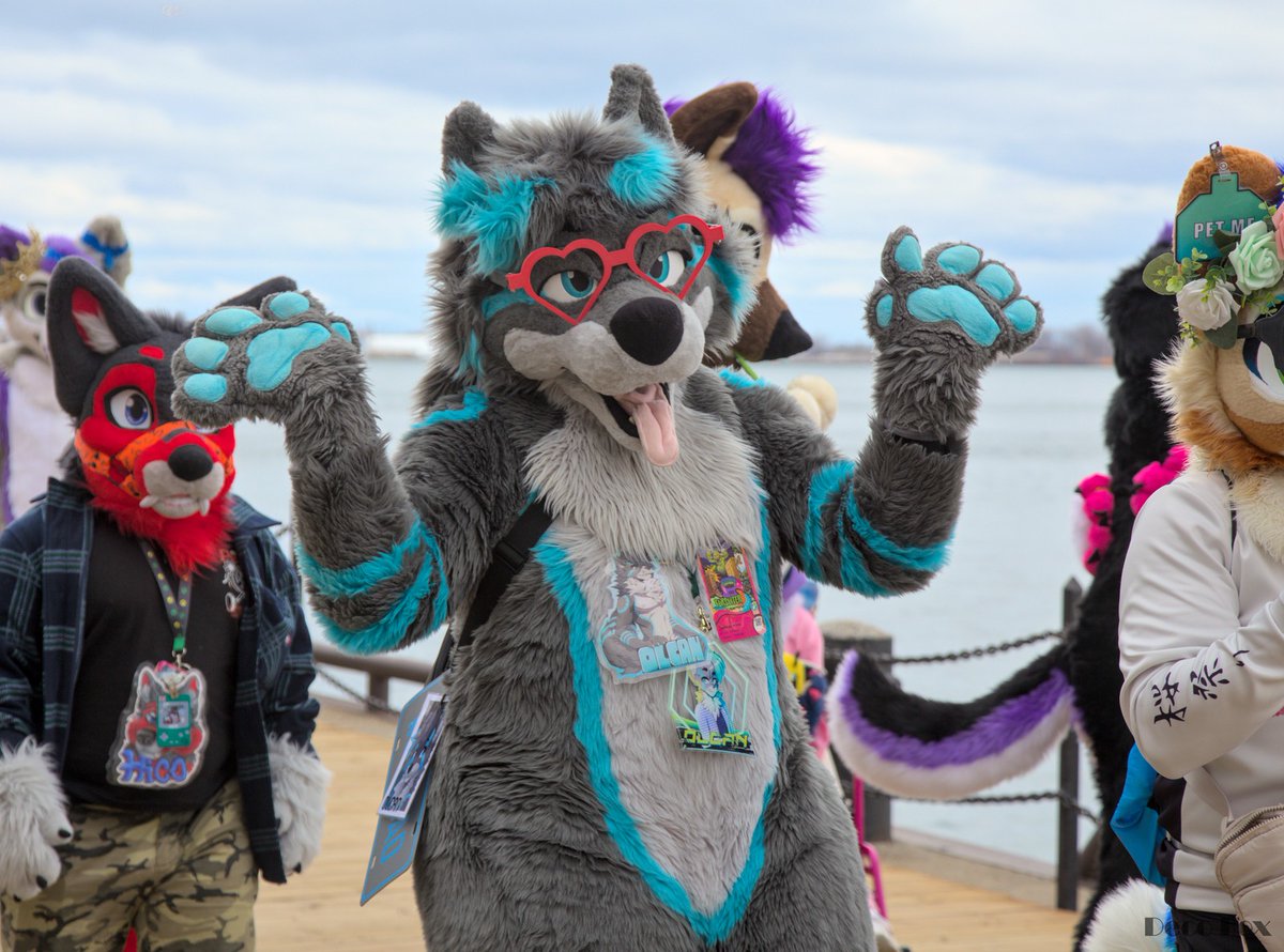 olcanachak's tweet photo. I don't know what you're talking about I'm just a big dog 😅 
📸 Deco Fox
#fursuitfriday
(also @BusinessHoosk ^^) https://t.co/GEU6BaAwAU