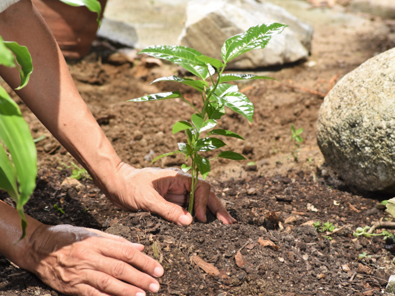 Do you want to learn more about protecting our local waterways?  Join the Water Conservation Garden June 14th for the free Landscaping for Watershed Pollution Prevention Panel. This panel is funded by the County of San Diego. Learn more or register: tinyurl.com/448b25jd