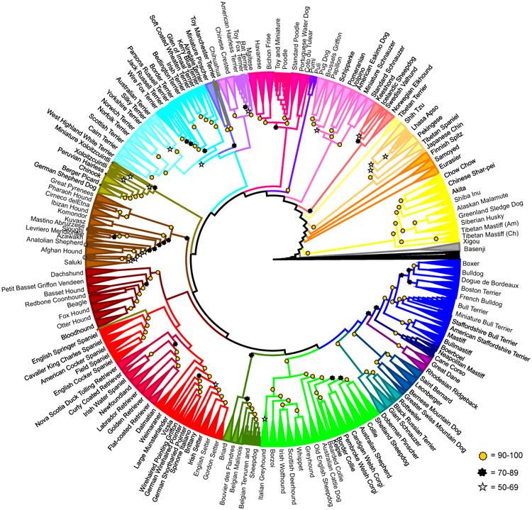 FakeDrTom's tweet photo. @DollyZoom Maybe not a classic phylogenetic tree, but check out this cladogram from 161 breeds in 2017 (https://t.co/4KQoLx4ubA) or this from 300+ breeds in 2023 (https://t.co/NObRgHvryD). Our guy, Jeff Kidd, helped with that one! He's the dog genetics captain now. https://t.co/k7lkaH9LiV