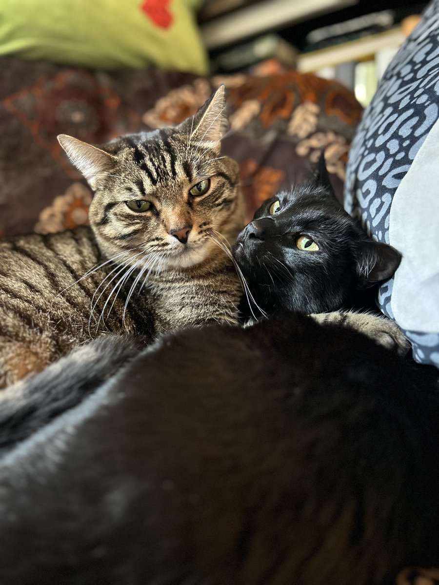 Jake Spiwak tweet media