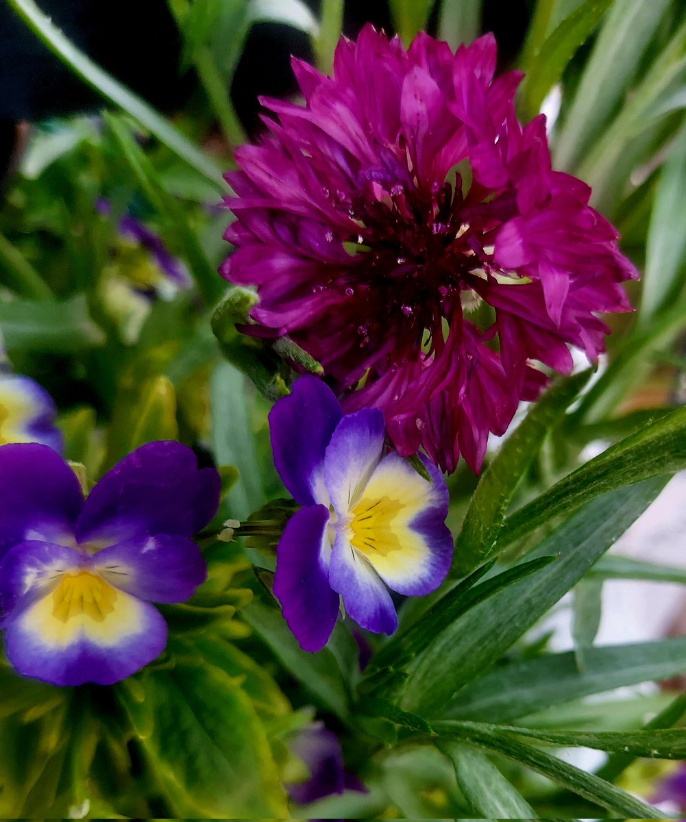 Maria Lea tweet media