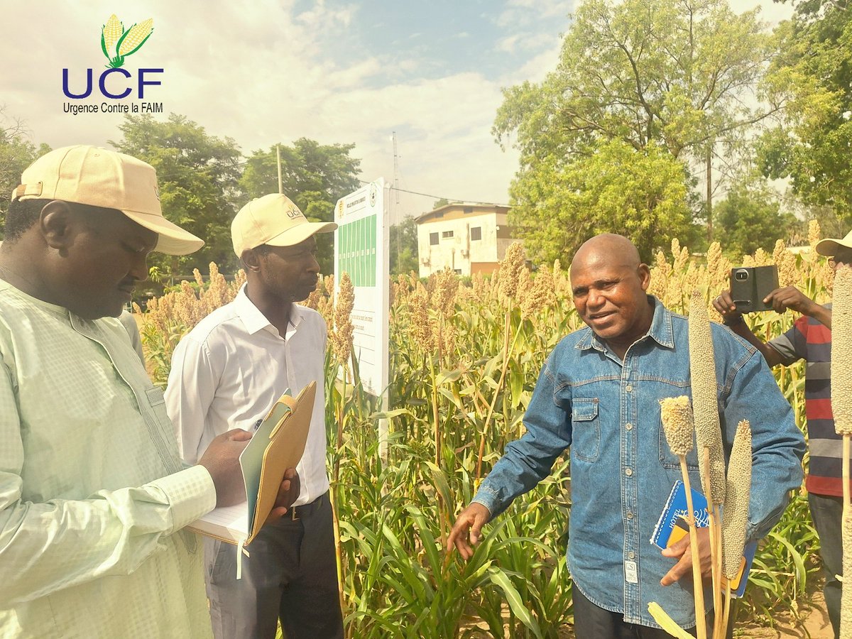 UCFTCHAD's tweet photo. Les causes de la faim sont nombreuses dont l'extrême pauvreté, le manque d’investissement dans l’agriculture, la mauvaise répartition des ressources alimentaires et le gaspillage. https://t.co/yfc7b2AJlQ