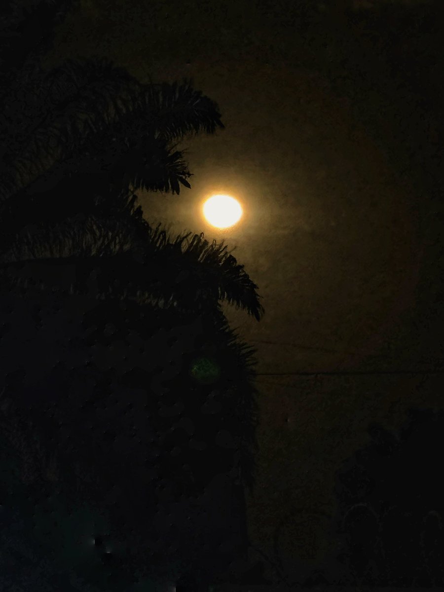 Anita Komukama (@anitakomukama) on Twitter photo To <a href="/lizmutesi/">El!zabeth ✨</a> with lorries of love
Tried to capture quick as the clouds weren’t letting me prosper!
Go outside now! 🫶🏾🥰 To <a href="/lizmutesi/">El!zabeth ✨</a> with lorries of love
Tried to capture quick as the clouds weren’t letting me prosper!
Go outside now! 🫶🏾🥰