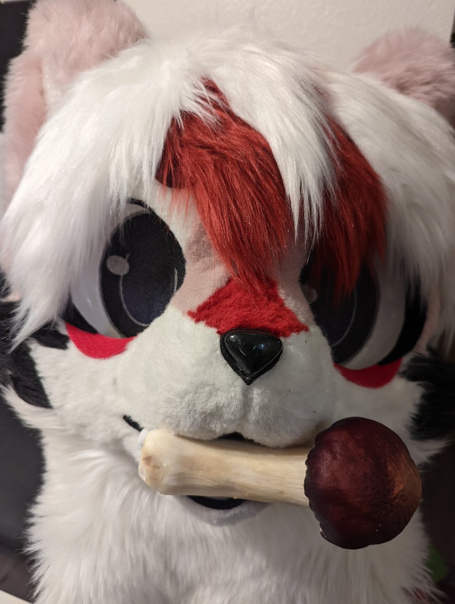 It's mushroom season! Time to make a bunch of tasty shroom dishes!
#FursuitEveryday