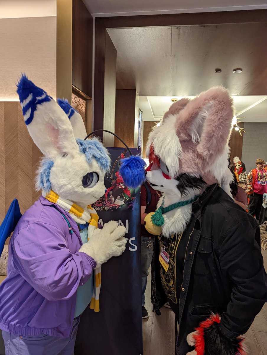 Kite 🪁🎥 tweet media