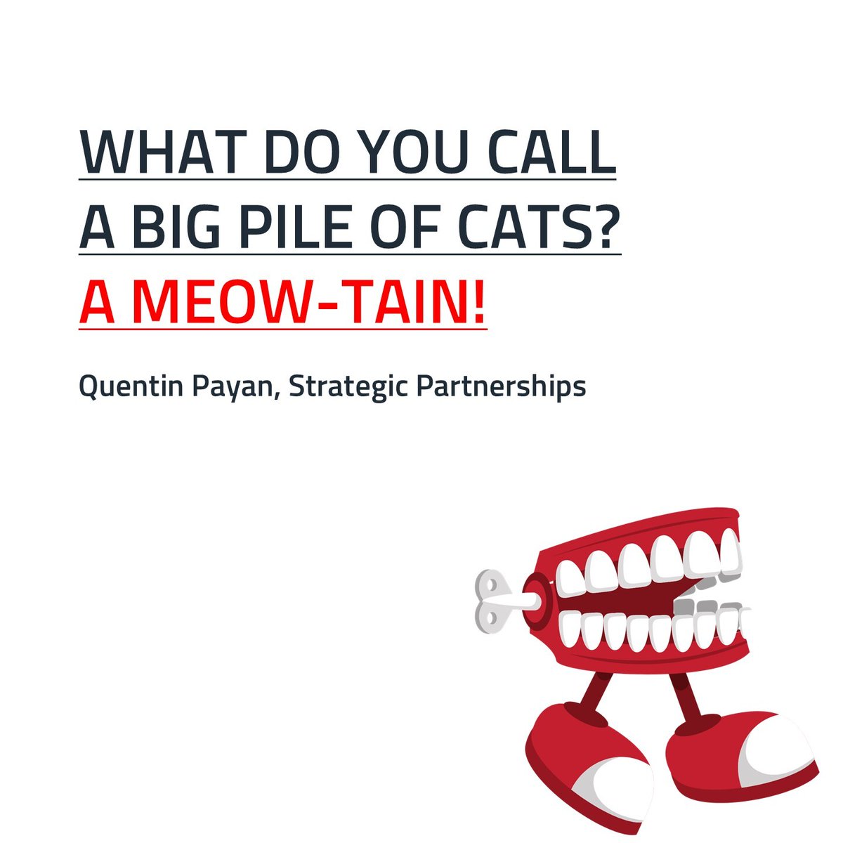 Next up in our #DadJokeTakeover: Quentin Payan! 👨
Quentin's sense of humor is absolute purr-fection. 🐱Check out his joke in the image if you're feline up for it and stay tuned for more laughs from the #RadDads of #WurthElektronik! 
#FathersDay2025 #ProofOfDadhood #CatDadComedy