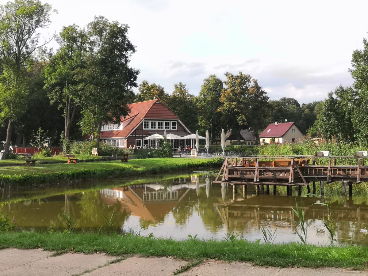 Touching some grass in Brandenburg. 
See you Monday <a href="/opensea/">OpenSea</a> !#openseatouchgrass