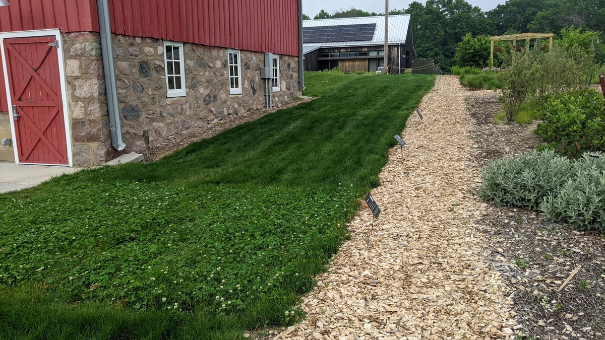 UMNTurf's tweet image. Check out our latest blog post: Where can I see what this type of lawn looks like in person? by Jon Trappe!
Learn where you can explore demonstration plots of different turfgrasses to make sure you're choosing the right option for your lawn.
turf.umn.edu/where-can-i-se…