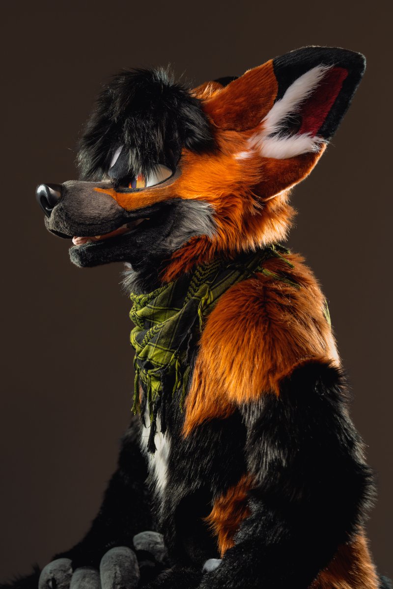 PhotoVarmint's tweet photo. 🦊🦊🦊🦊🦊
🪡 @mixedcandy https://t.co/1unfW74QtQ