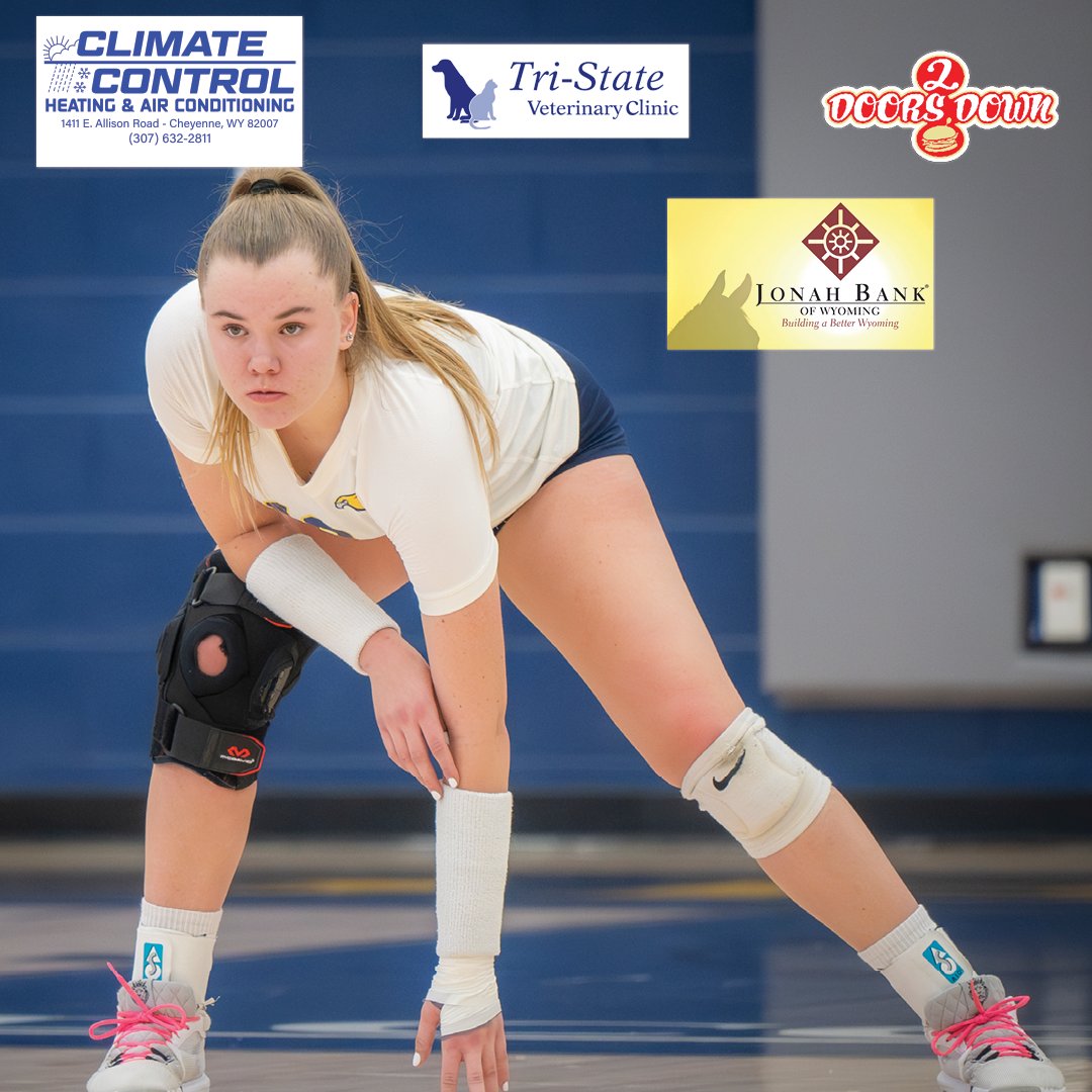 LCCCsports's tweet photo. All of our partners are huge in pushing our athletes to success!

Thank you to our Team Captains Jonah Bank, Climate Control, 2 Doors Down, and the Tri State Veterinary Clinic! We are all #GoldenTogether!

#BeGolden https://t.co/BTCdWLHo1v
