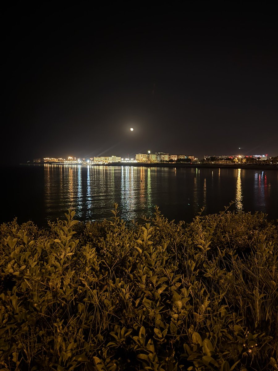 انعزل عن مجمل العالم وأحب العزله
لين صار الإنعزال .. من العرب روتيني .