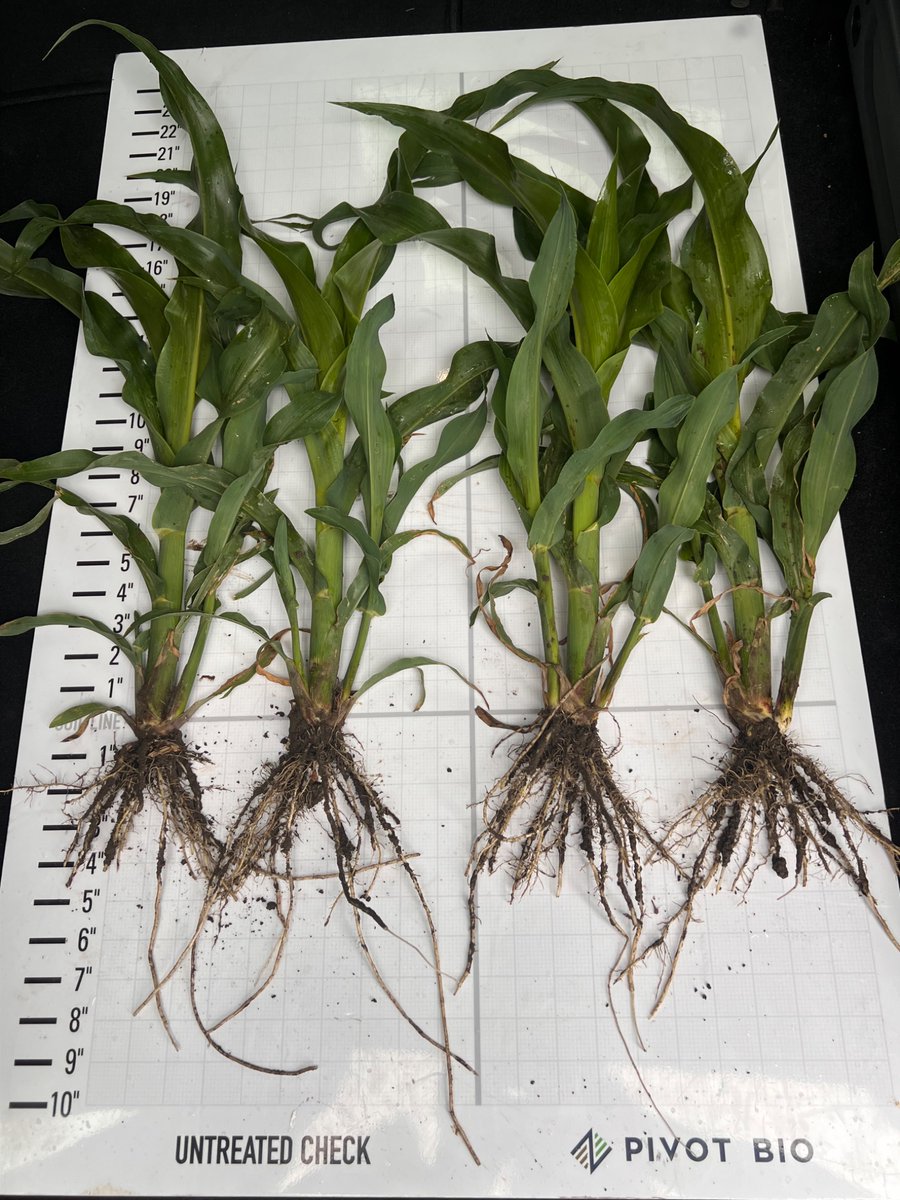 Burt County (irrigated): ProvenG3 with 35 lbs reduction - 32% done pre-emerge w sprayer #provenit <a href="/pivotbio/">Pivot Bio</a>