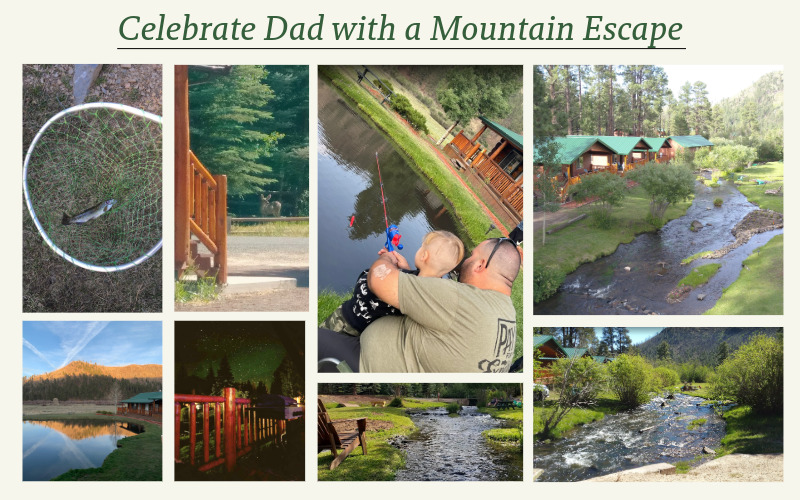 greerlodge's tweet photo. Ditch the Tie—Plan a Cabin Getaway for Dad - https://t.co/fHmFG9q3Kx #FathersDay #HappyWeekend #GreerAZ https://t.co/c1xI2bhxEG