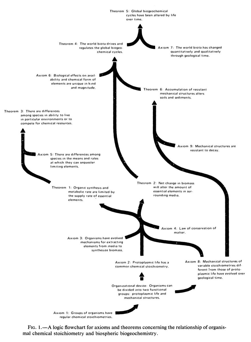 Kian Faizi tweet media