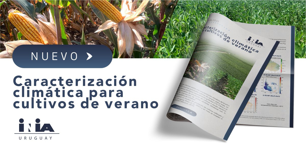 Nuevo producto INIA 🚀
🌾Permite entender el desarrollo y el potencial de rendimiento de los cultivos en las zonas agrícolas de 🇺🇾
🔎Lluvias, déficit hídrico, estrés térmico, soja y maíz.
 📅 A mitad y fin de cada zafra.
Disponible👉inia.uy/noticias/nuevo…
#AgriculturaSostenible