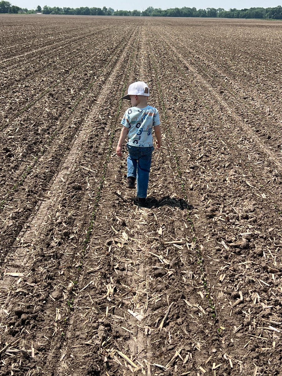 BurrusSeed's tweet image. Wayne Perry helping his dad, #BurrusSeed Research Coordinator Jacob check stands in Fayette County this week.