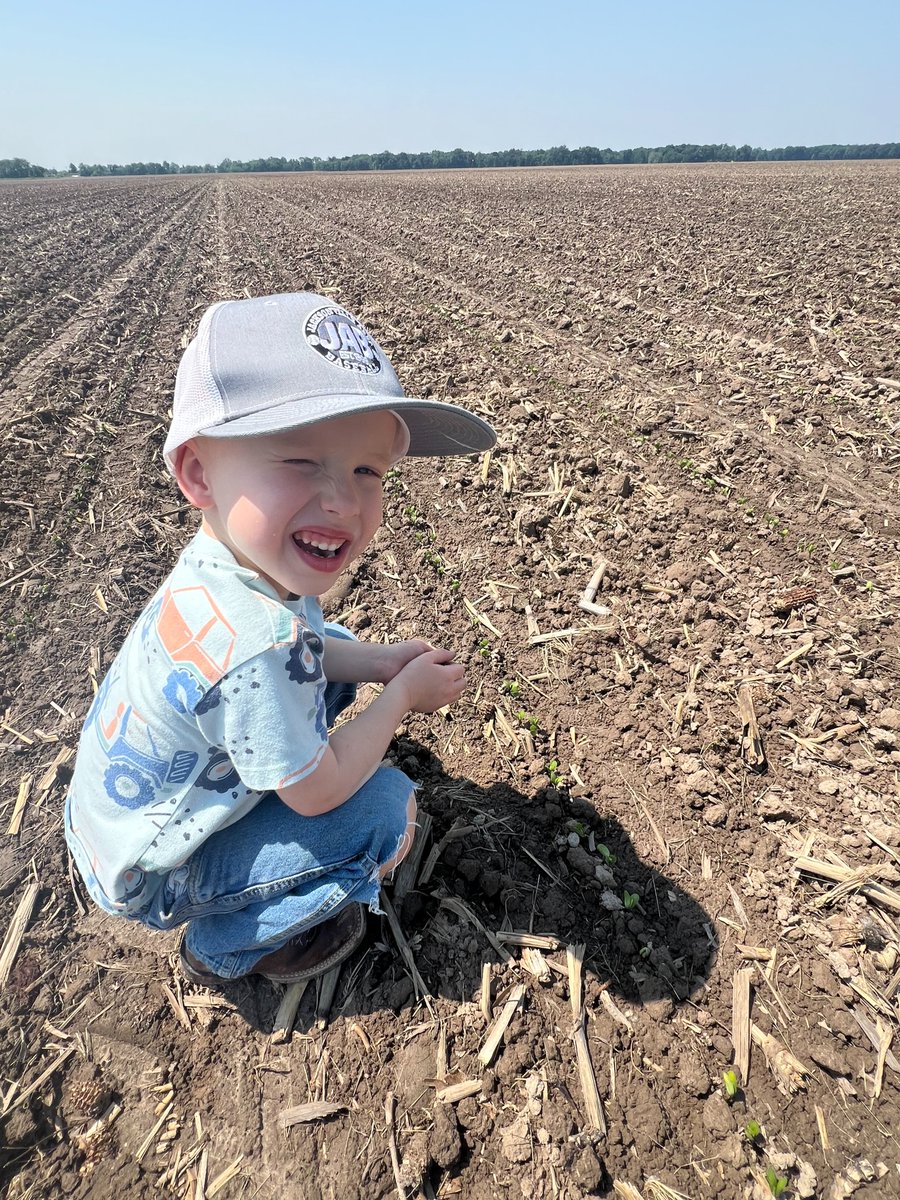 BurrusSeed's tweet image. Wayne Perry helping his dad, #BurrusSeed Research Coordinator Jacob check stands in Fayette County this week.