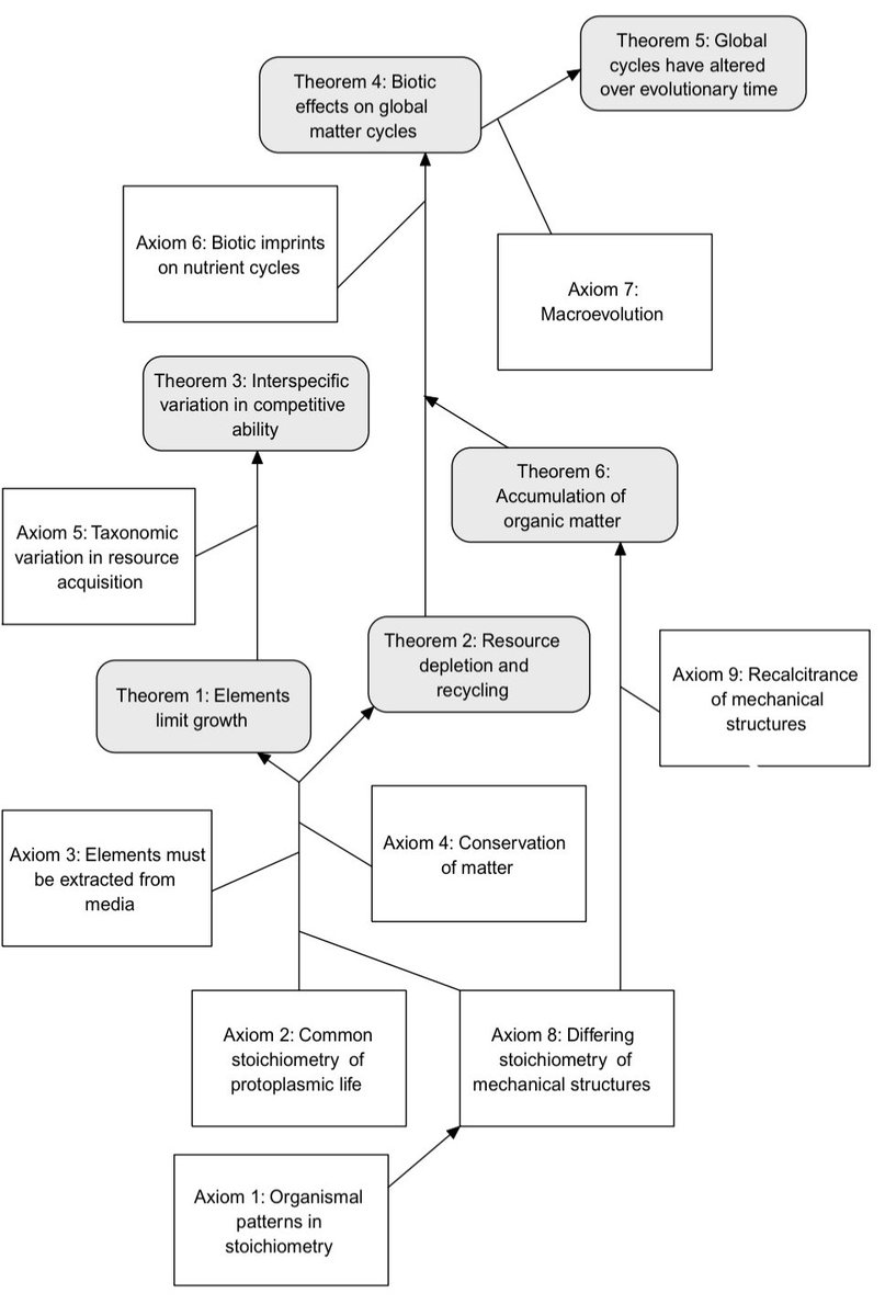 Kian Faizi tweet media