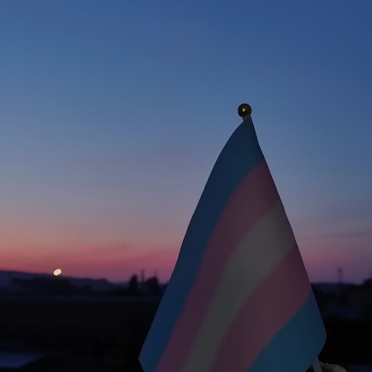 Something something happy pride month life imitates art